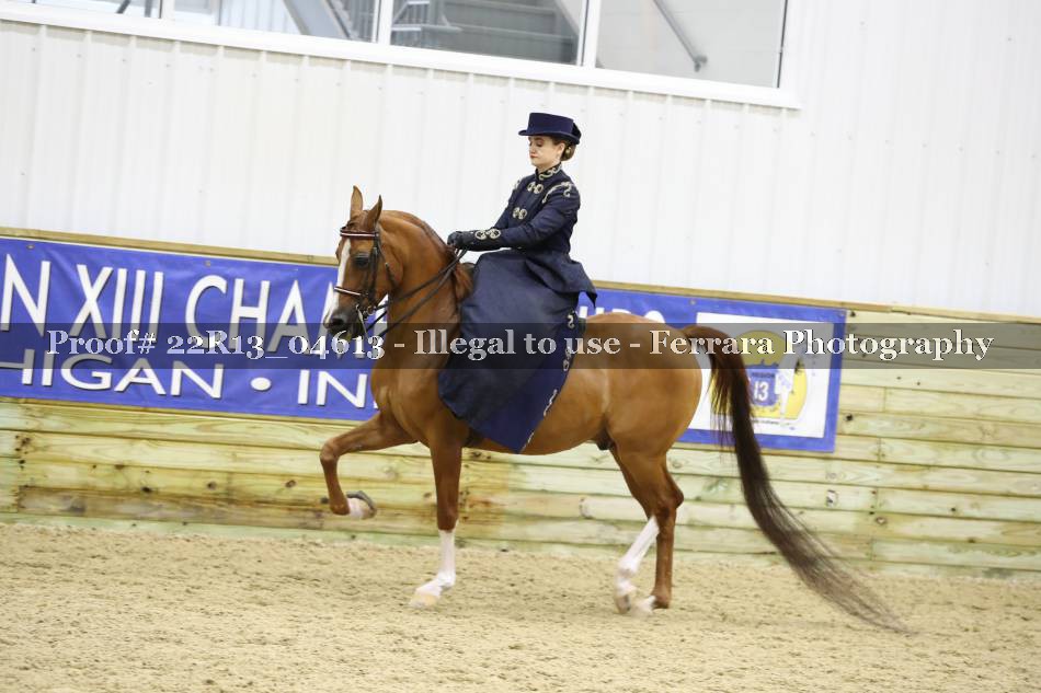 Proof 22R13_04613