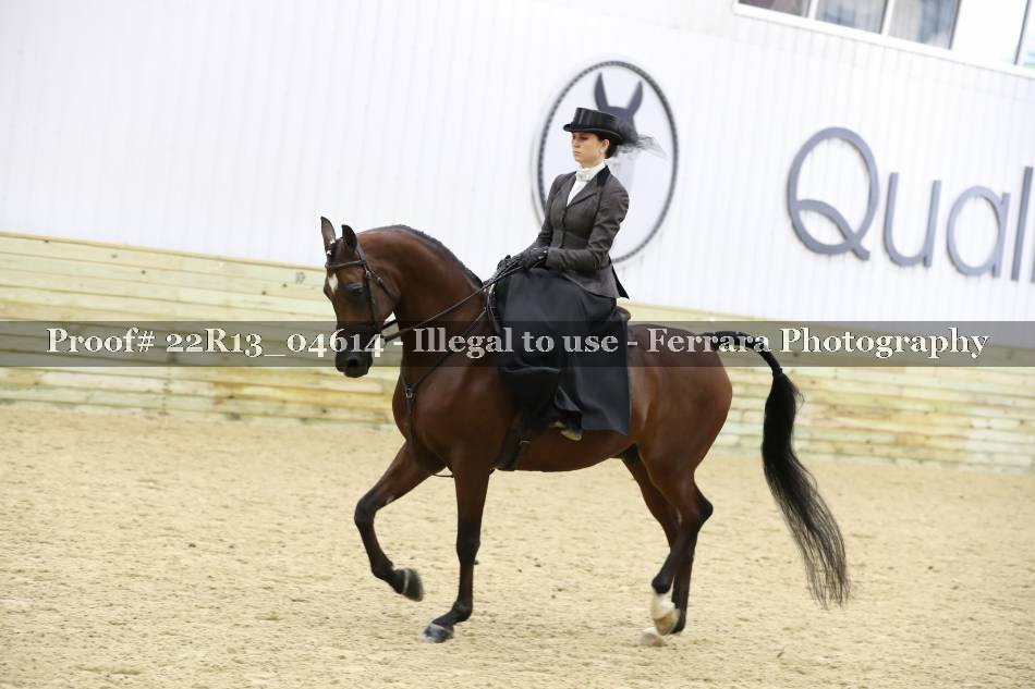 Proof 22R13_04614