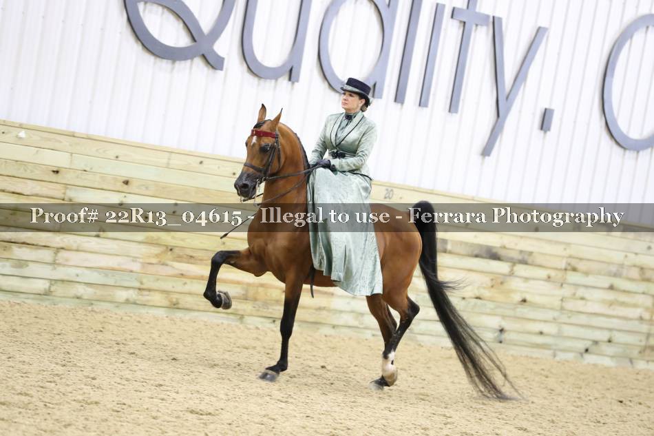 Proof 22R13_04615