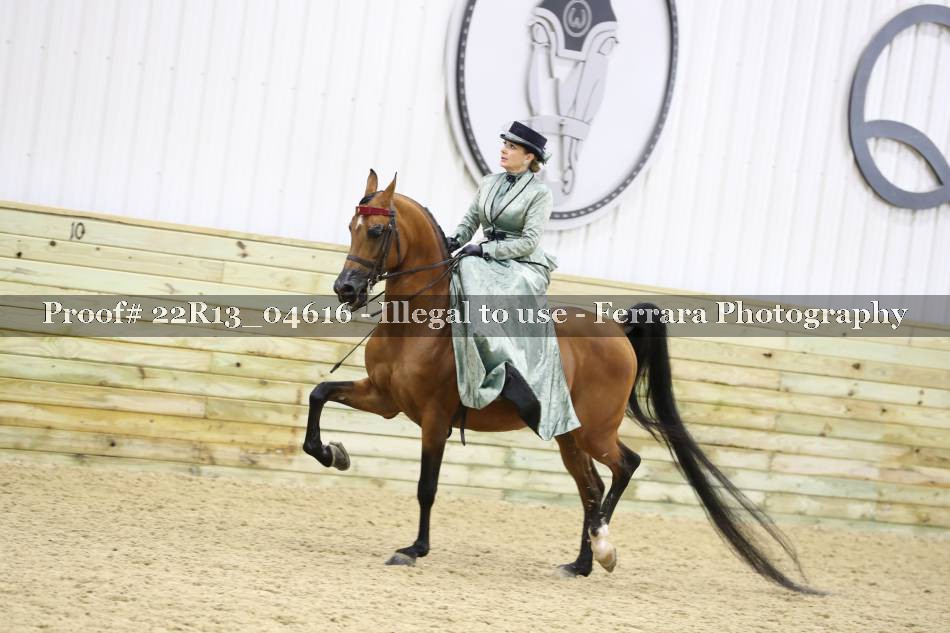 Proof 22R13_04616