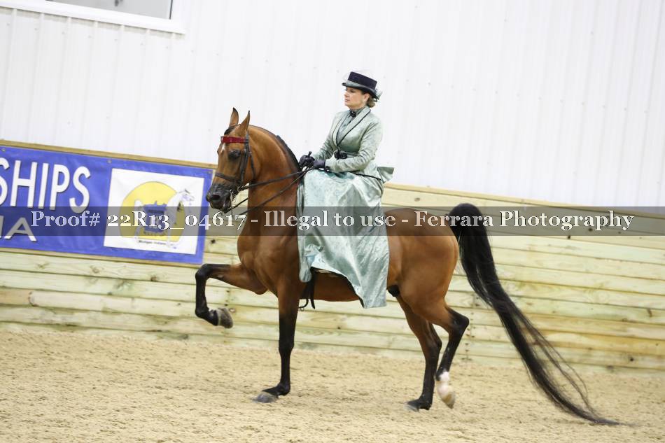 Proof 22R13_04617