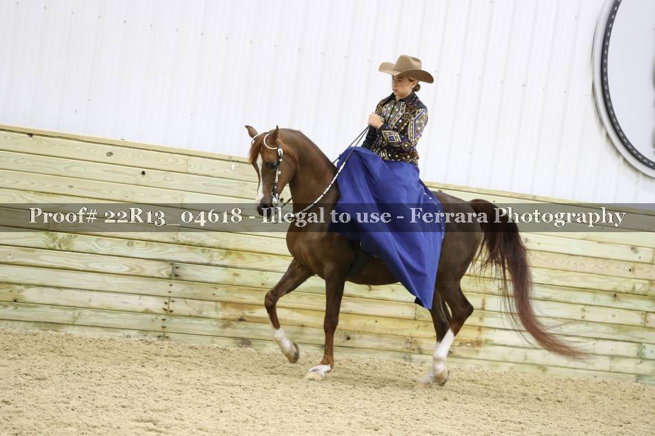 Proof 22R13_04618
