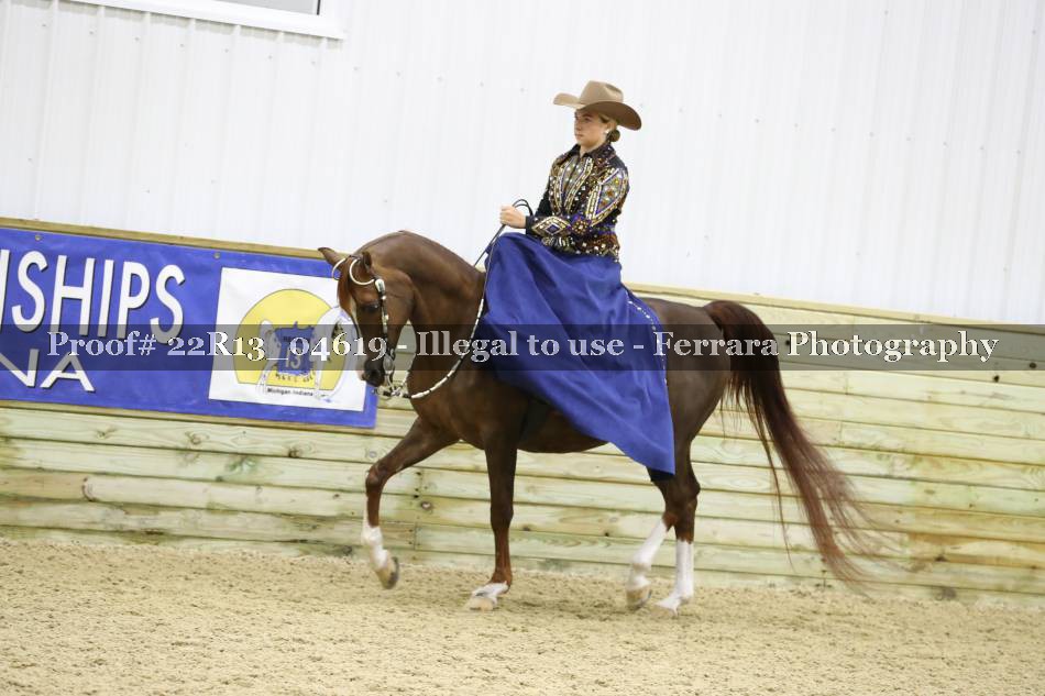 Proof 22R13_04619