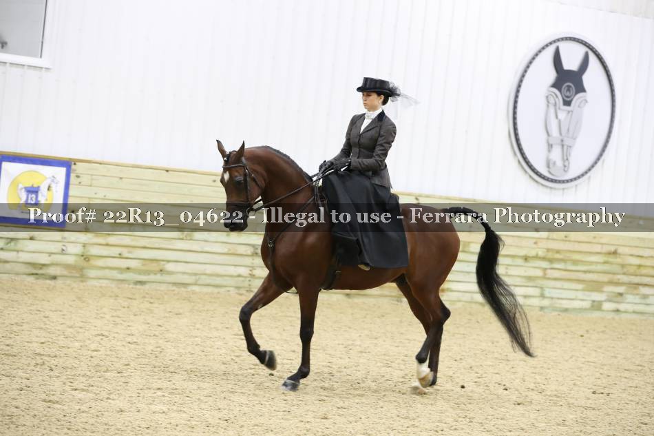 Proof 22R13_04622