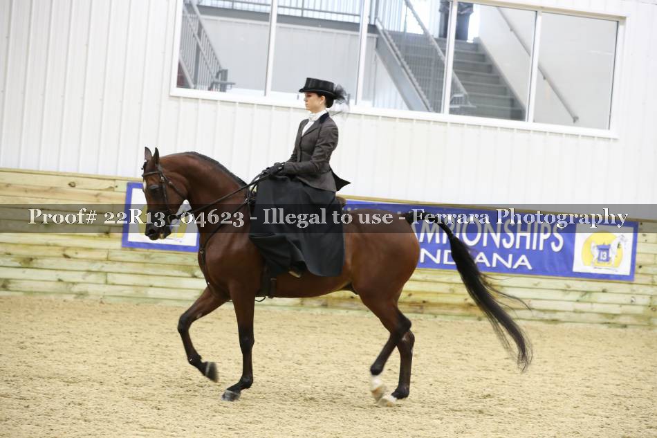 Proof 22R13_04623