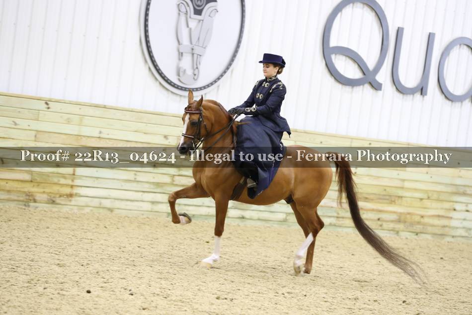 Proof 22R13_04624