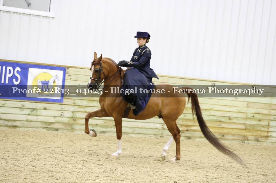 Proof 22R13_04625