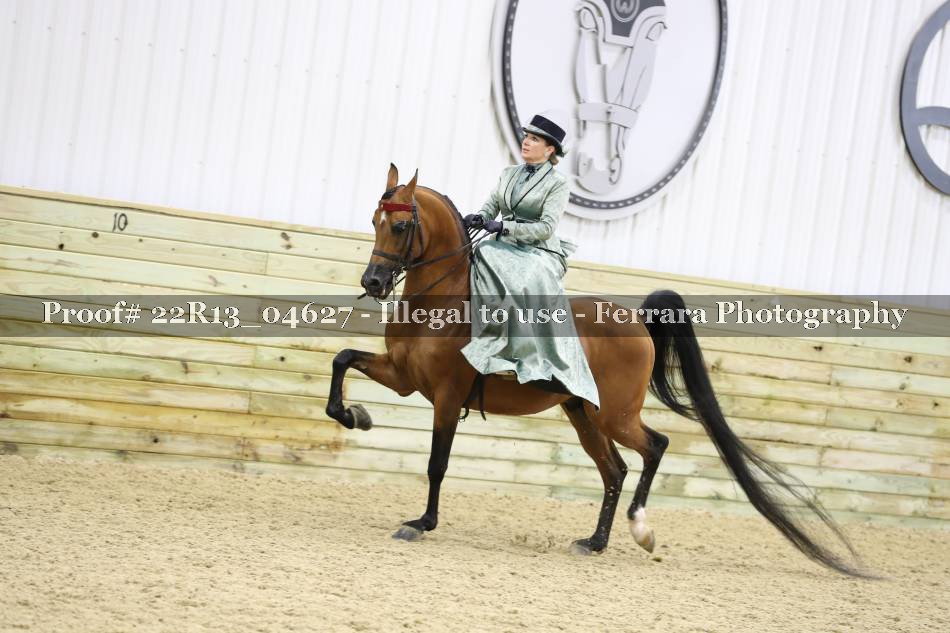 Proof 22R13_04627
