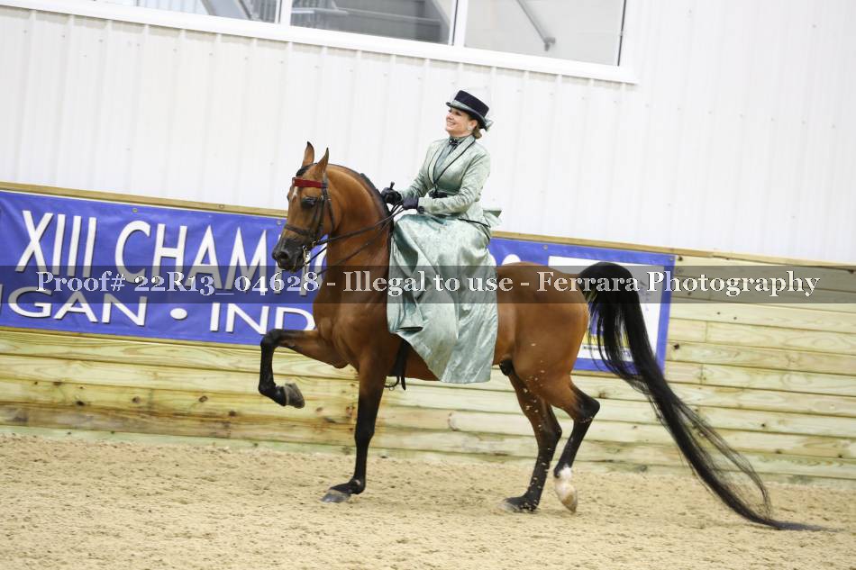 Proof 22R13_04628