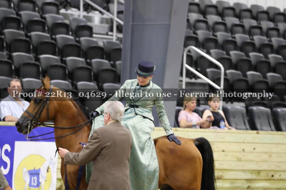 Proof 22R13_04629