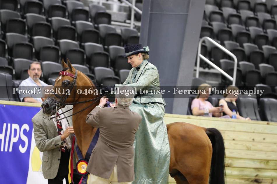 Proof 22R13_04631