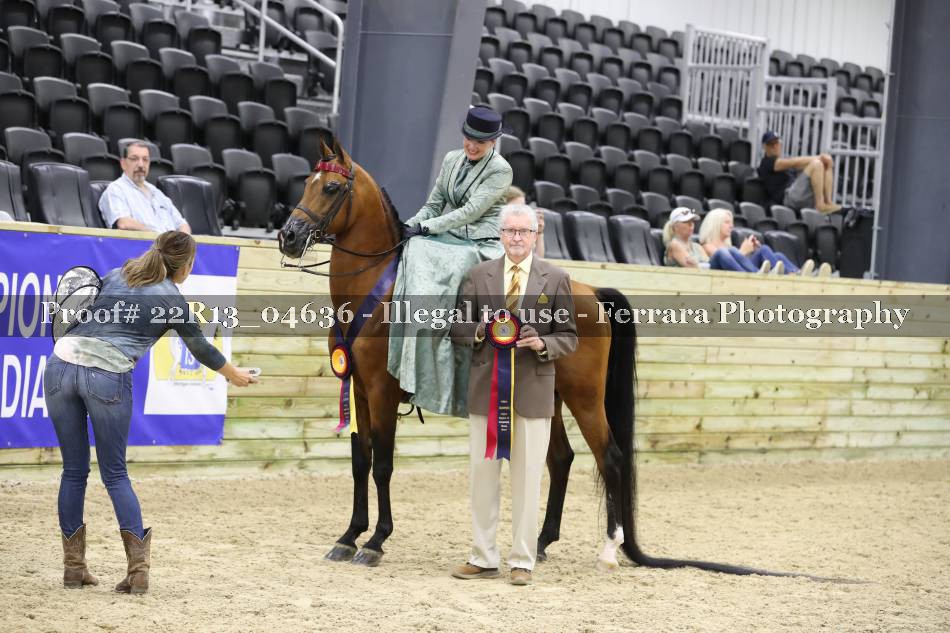 Proof 22R13_04636