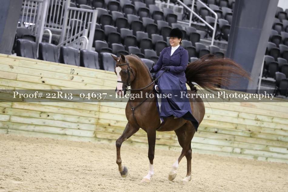 Proof 22R13_04637