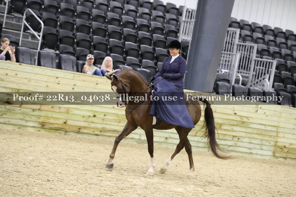 Proof 22R13_04638