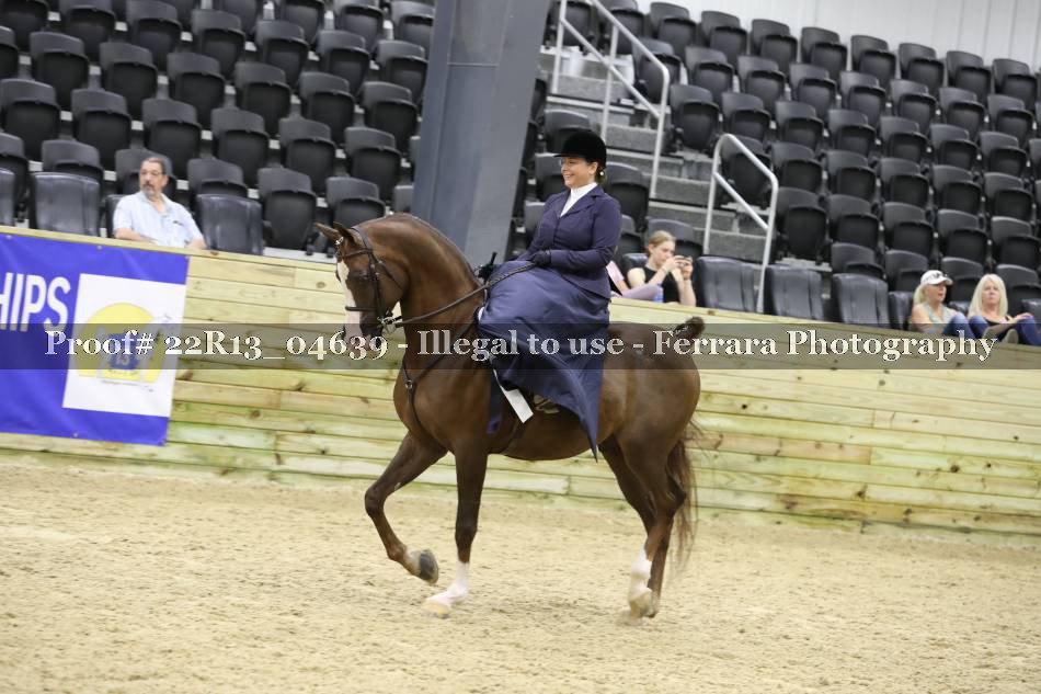 Proof 22R13_04639
