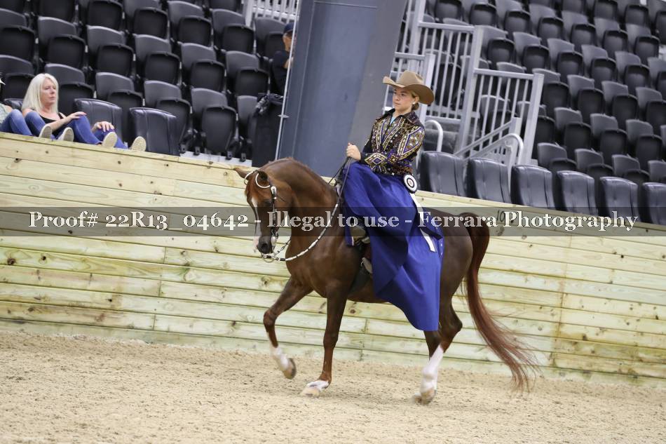 Proof 22R13_04642
