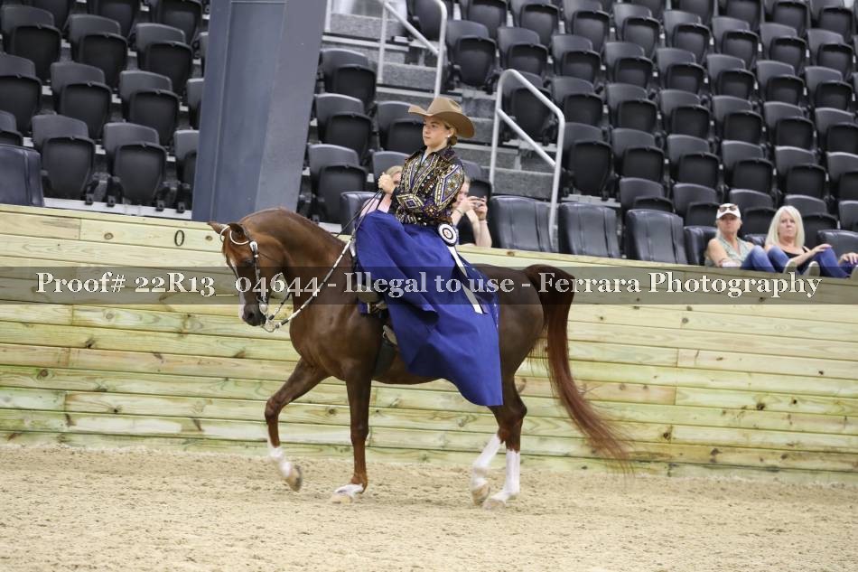 Proof 22R13_04644