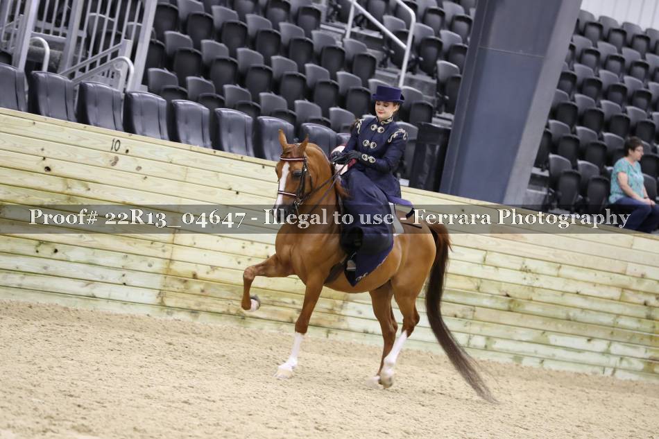 Proof 22R13_04647