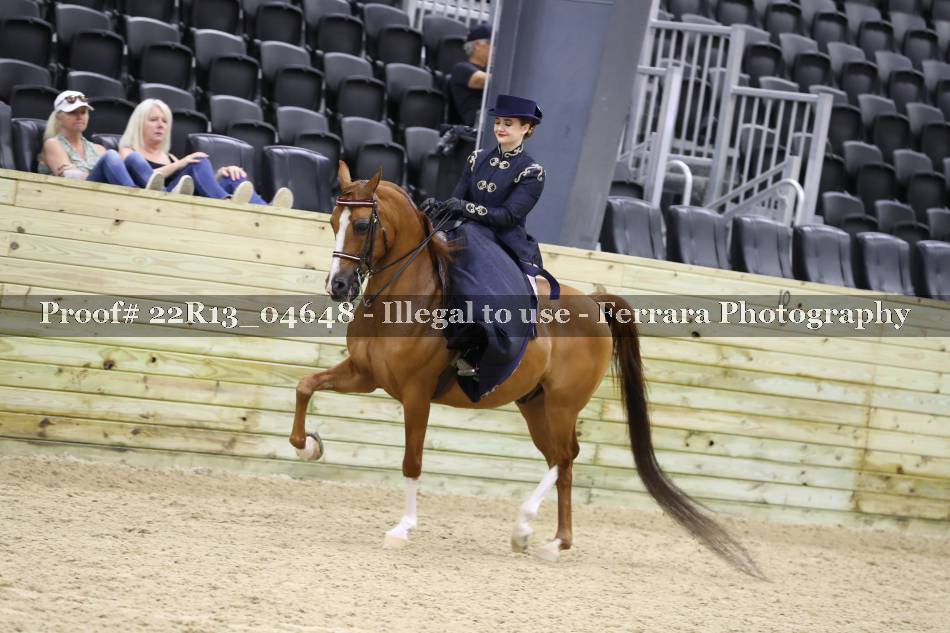 Proof 22R13_04648