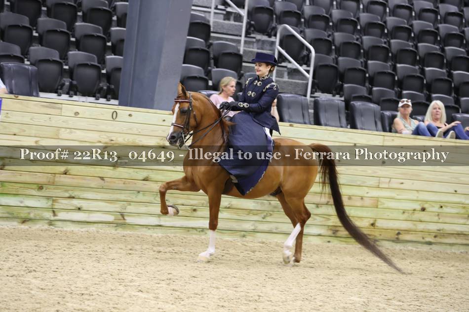 Proof 22R13_04649