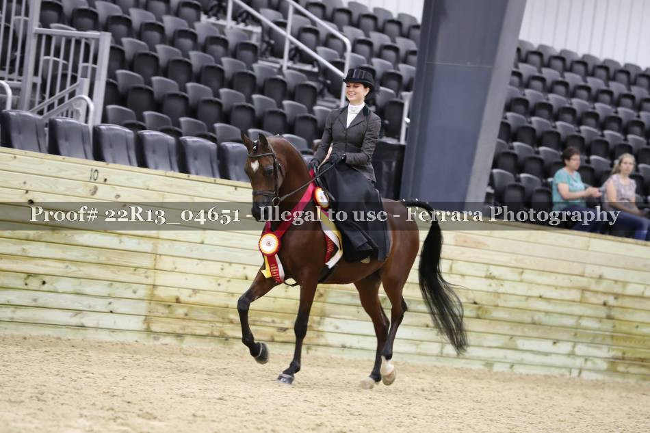 Proof 22R13_04651