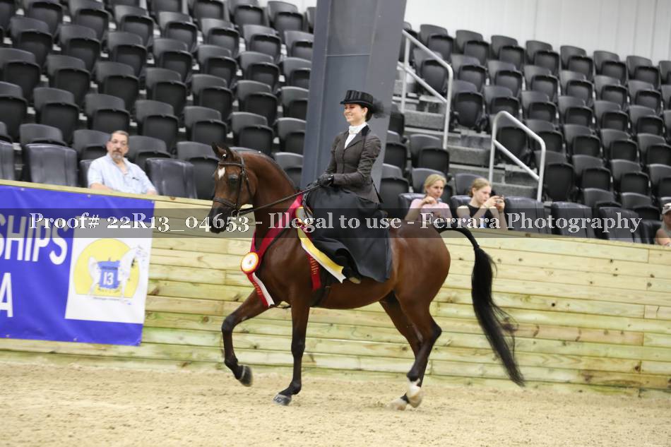 Proof 22R13_04653