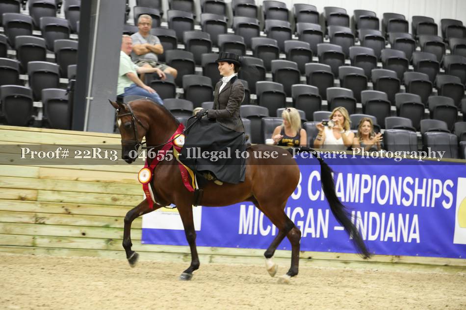 Proof 22R13_04655