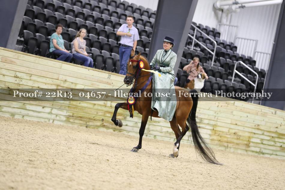 Proof 22R13_04657