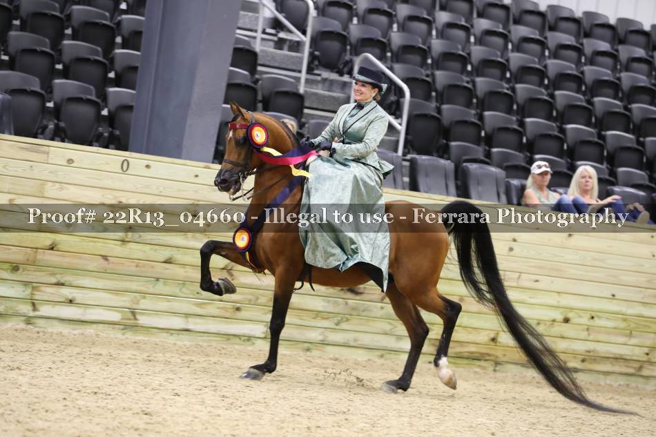 Proof 22R13_04660