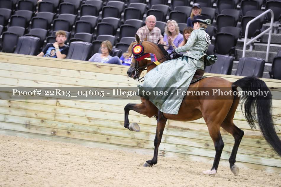 Proof 22R13_04665