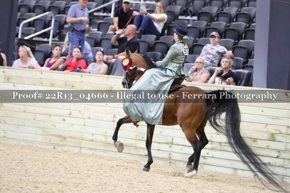 Proof 22R13_04666