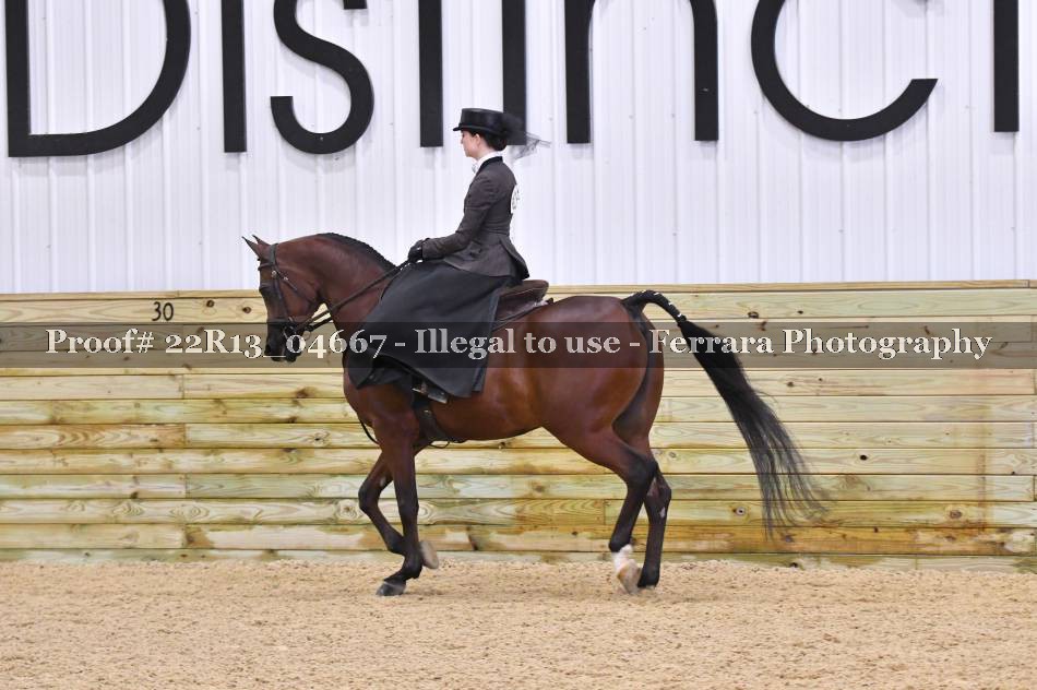 Proof 22R13_04667