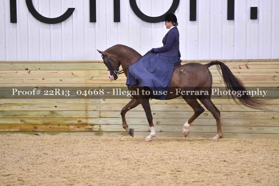 Proof 22R13_04668