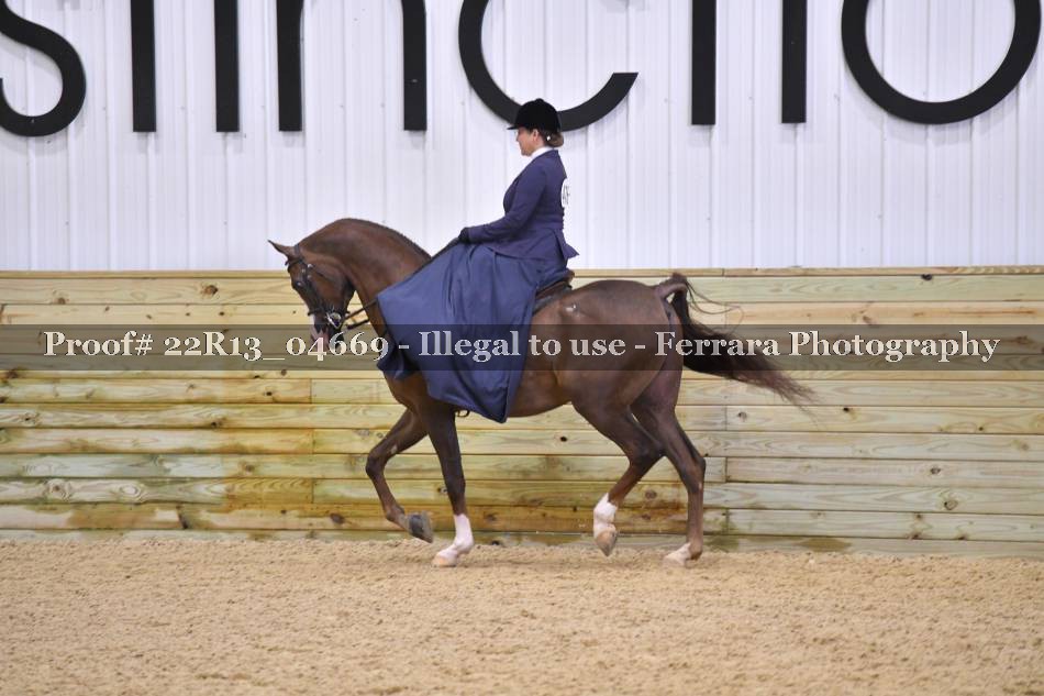Proof 22R13_04669