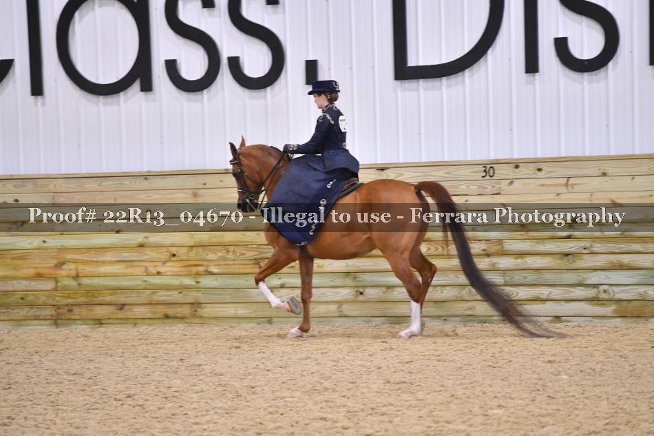 Proof 22R13_04670