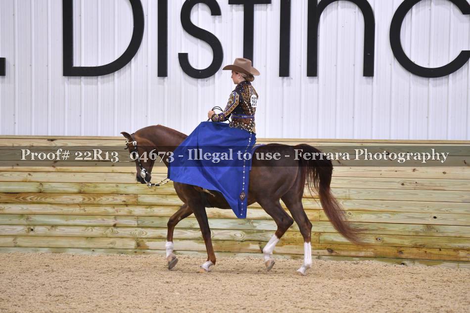 Proof 22R13_04673