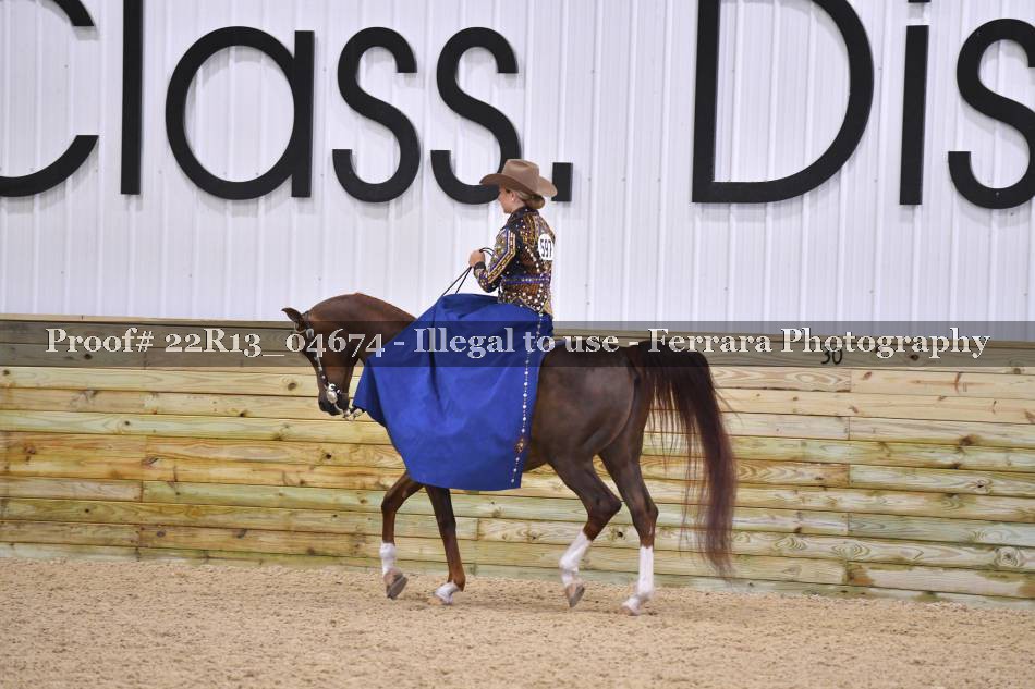 Proof 22R13_04674