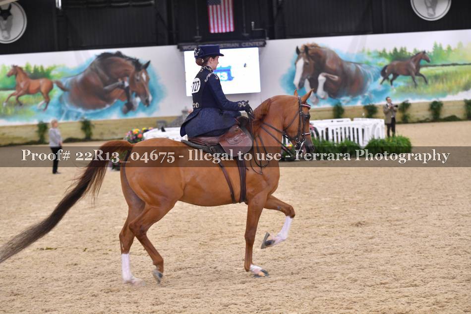 Proof 22R13_04675