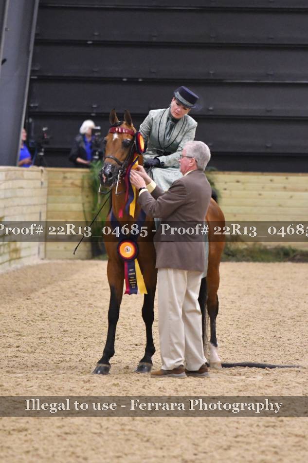 Proof 22R13_04685