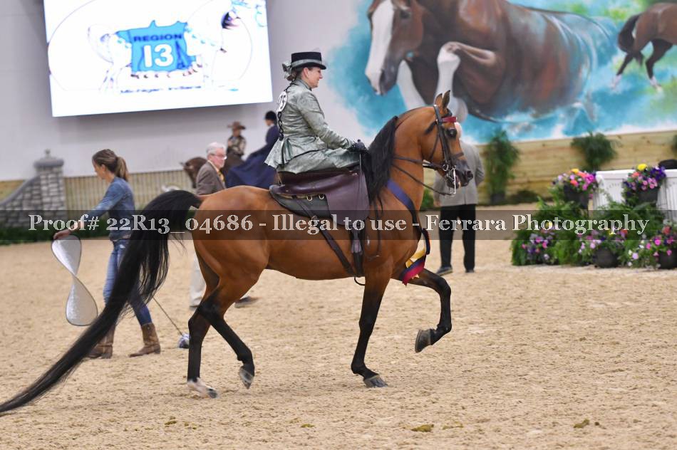 Proof 22R13_04686