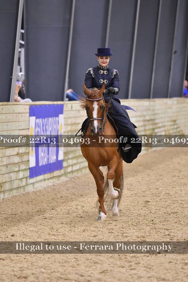 Proof 22R13_04693