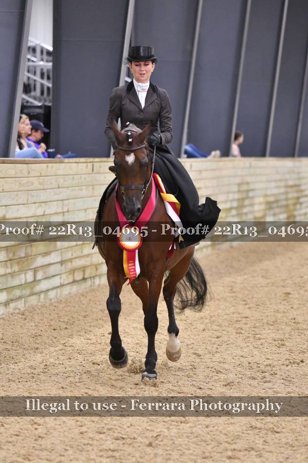 Proof 22R13_04695