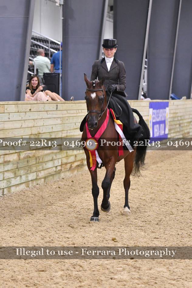 Proof 22R13_04696