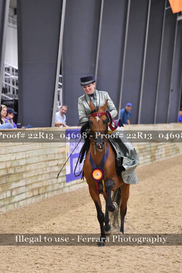 Proof 22R13_04698