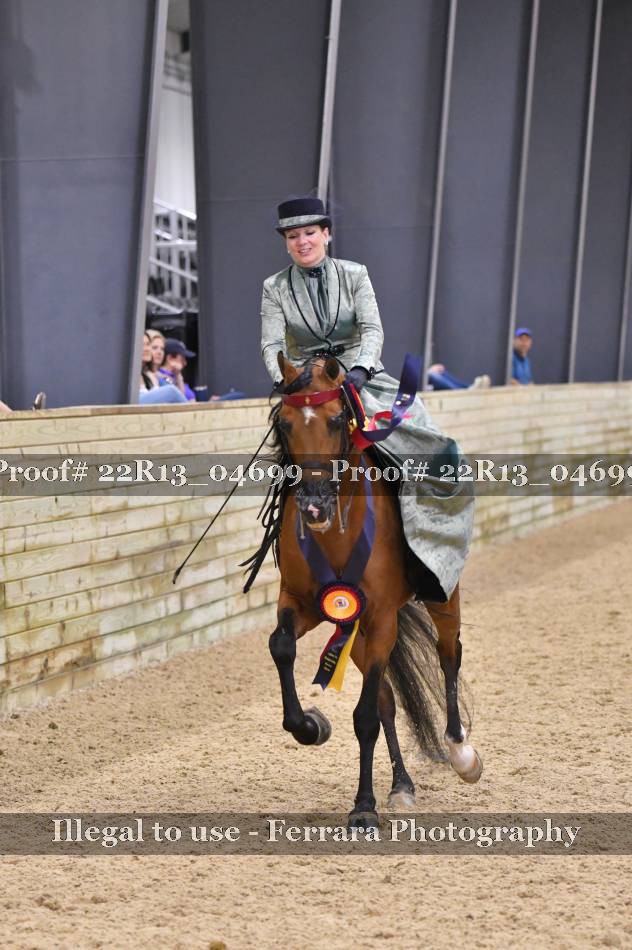 Proof 22R13_04699