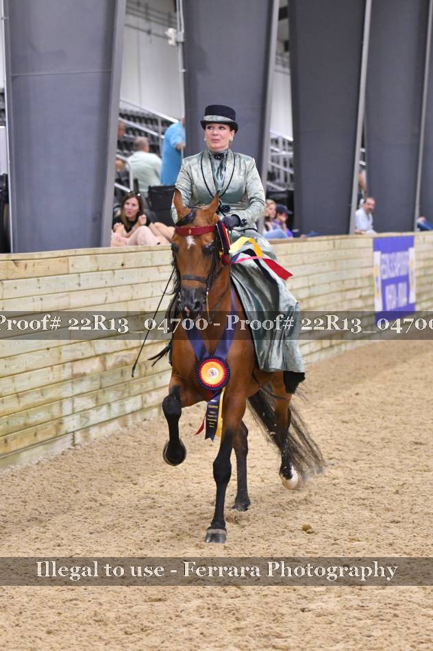 Proof 22R13_04700