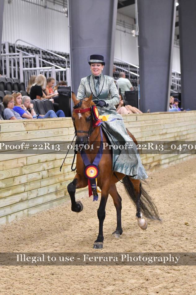 Proof 22R13_04701