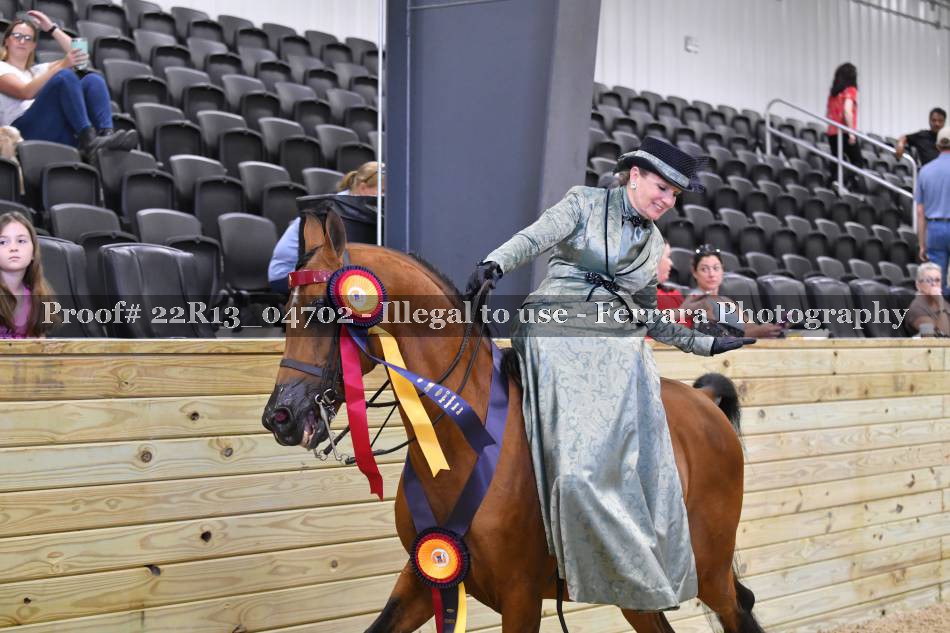 Proof 22R13_04702