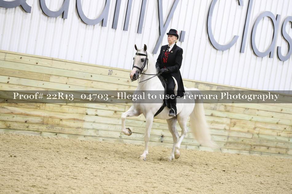Proof 22R13_04703