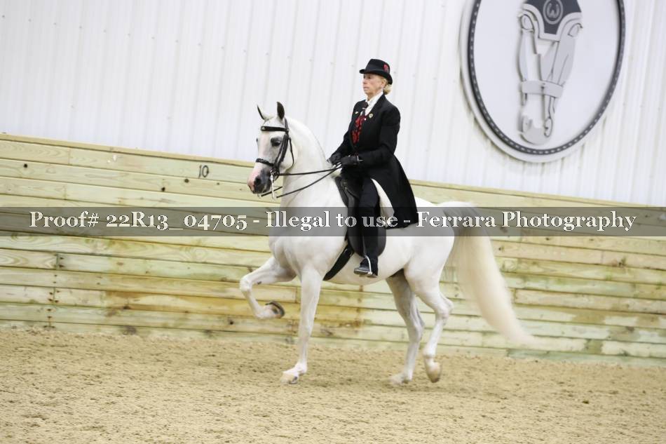 Proof 22R13_04705